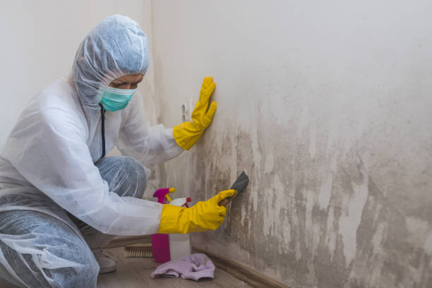 Best Crawl Space Mold Remediation in Bessemer City, NC
