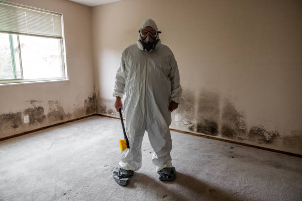 Best Insurance-Related Mold Remediation in Bessemer City, NC